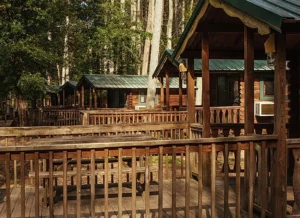 A row of rustic wooden cabins with green corrugated metal roofs, each with a small covered porch and wooden railings. Nestled among tall trees at Wading Pines Camping Resort, with early morning sunlight casting dappled light and shadows on the structures. Managed by IVEE Management Group.